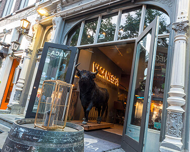 Vaca Negra | Impressie